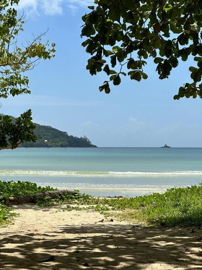 Mokara Holiday Apartment Anse Royale Exterior photo
